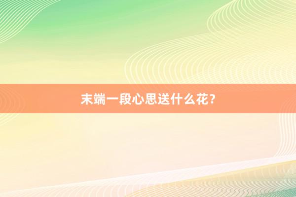 末端一段心思送什么花？