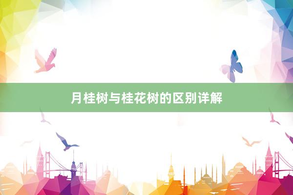月桂树与桂花树的区别详解