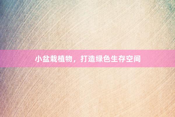 小盆栽植物，打造绿色生存空间