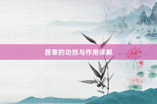 茜草的功效与作用详解