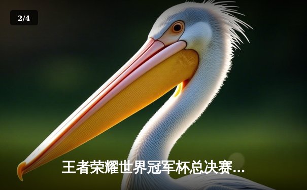 王者荣耀世界冠军杯总决赛落幕，中国战队DYG鏖战七局问鼎金凤凰杯 - 2